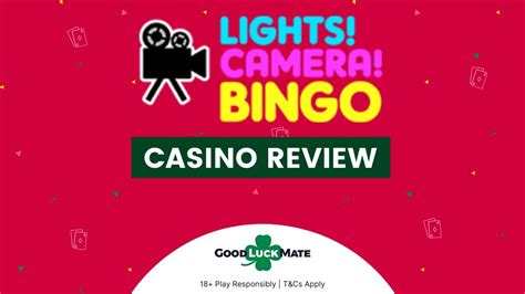 Lights camera bingo casino Haiti